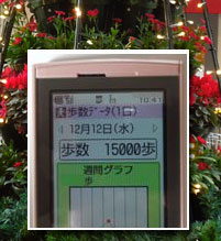 横浜ウォーキングで忘年会_c0051105_1057622.jpg