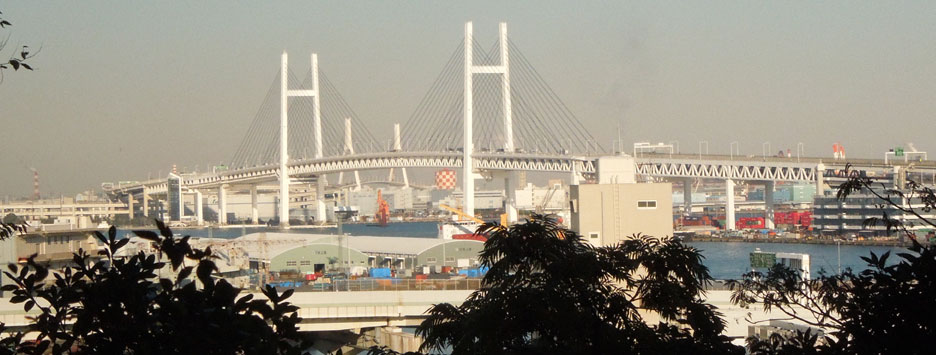 横浜ウォーキングで忘年会_c0051105_181884.jpg