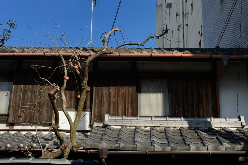 冬日の町角_f0032011_1962323.jpg