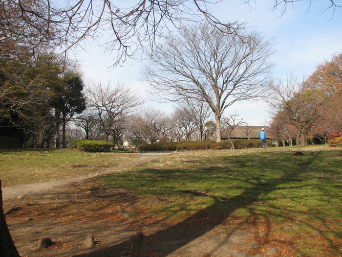 初冬の新林公園の風景（２）_b0221219_15485343.jpg