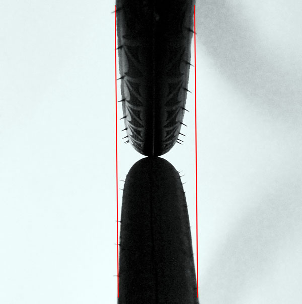 e0089826_0152157.jpg