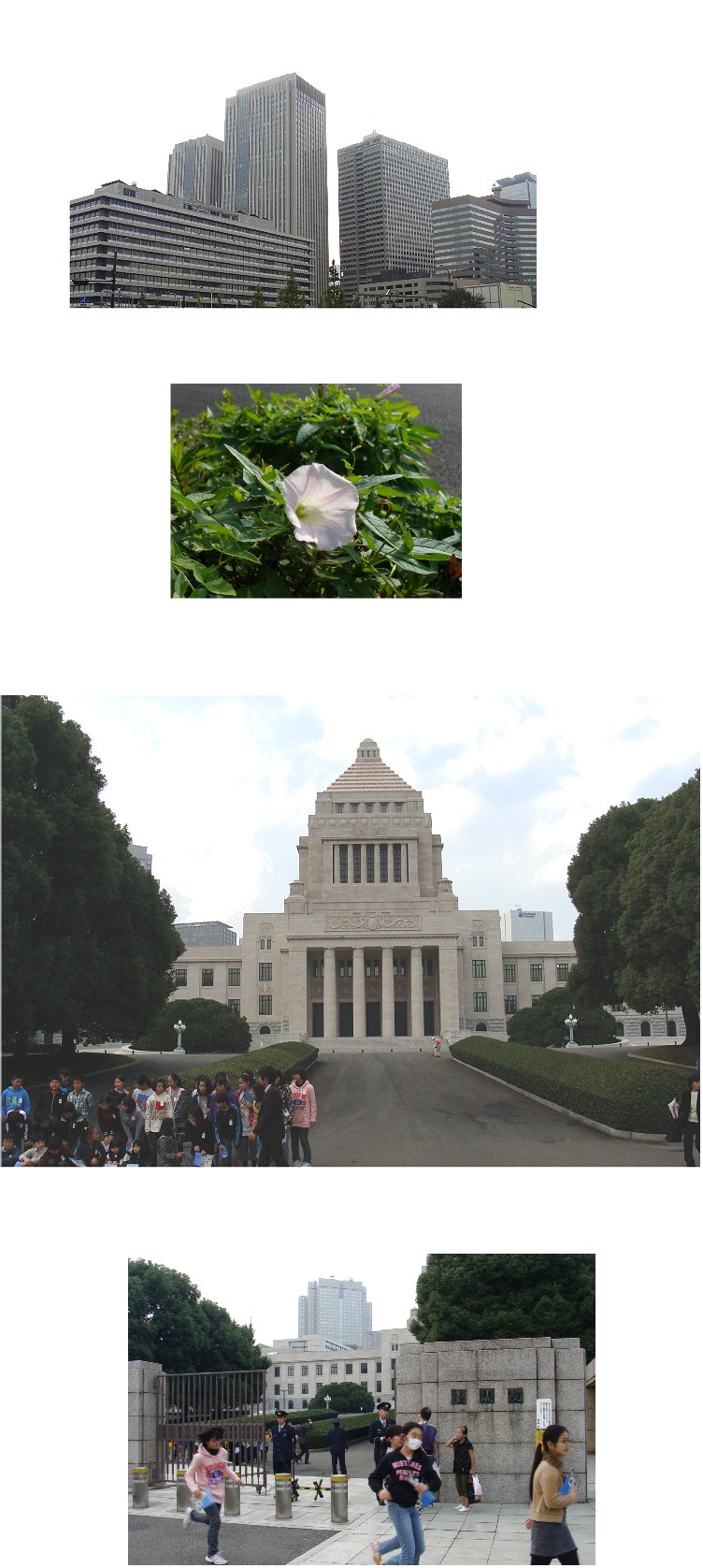b0211627_17461064.jpg