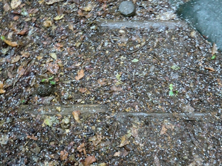 d0130927_1663643.jpg