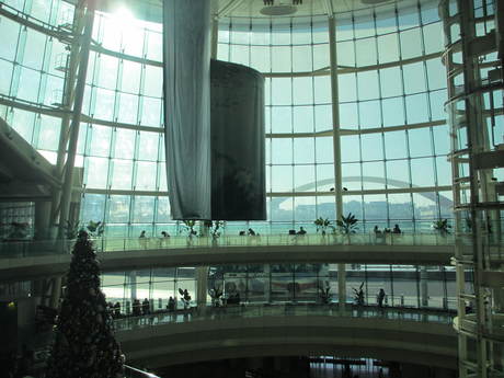 e0275929_227383.jpg
