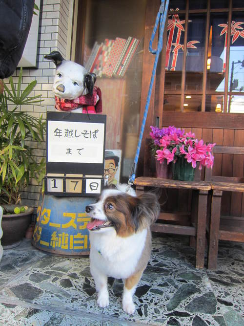 年越しそばまで あと 17日_b0197533_1661186.jpg