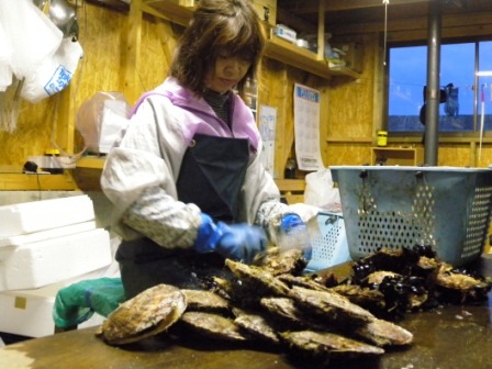 山田町に養蠣業者(=カキの養殖業者)を訪ねる_b0206037_9214097.jpg