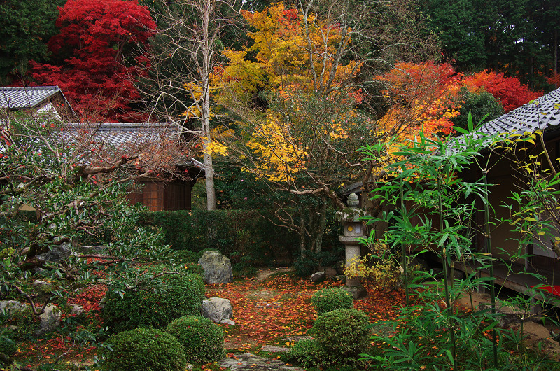 錦秋絶景（曼珠院）_f0155048_145160.jpg