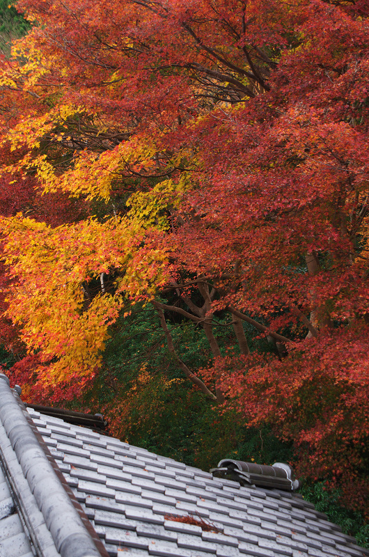 晩秋の瑠璃光院_f0155048_15173087.jpg