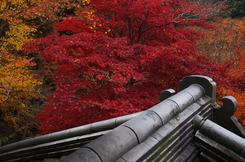 晩秋の瑠璃光院_f0155048_15173458.jpg