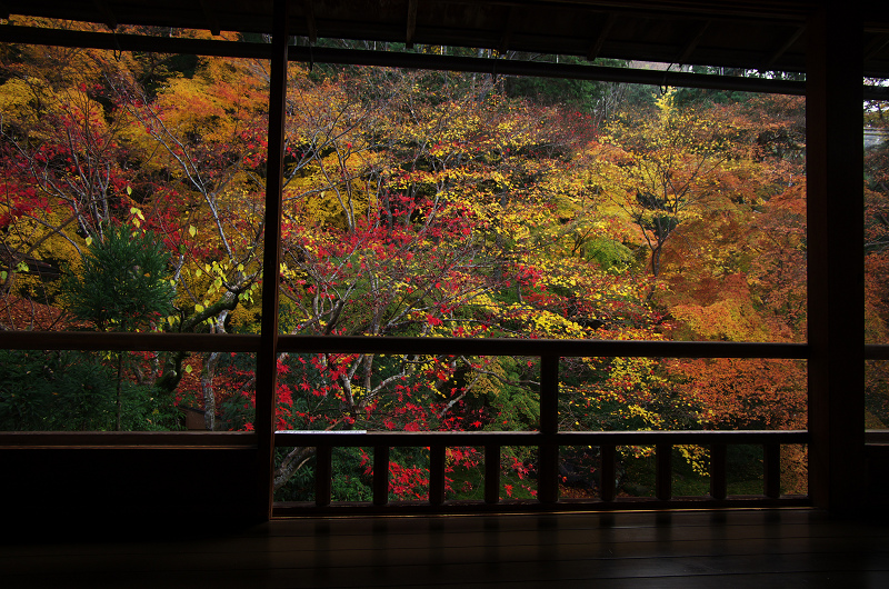 晩秋の瑠璃光院_f0155048_15201588.jpg