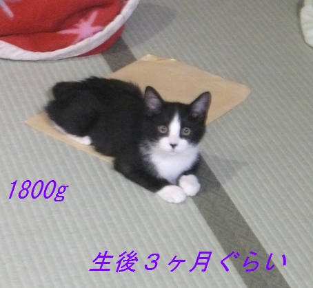 f0002750_21164815.jpg