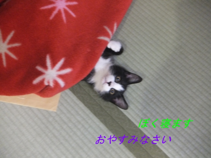 f0002750_21174672.jpg