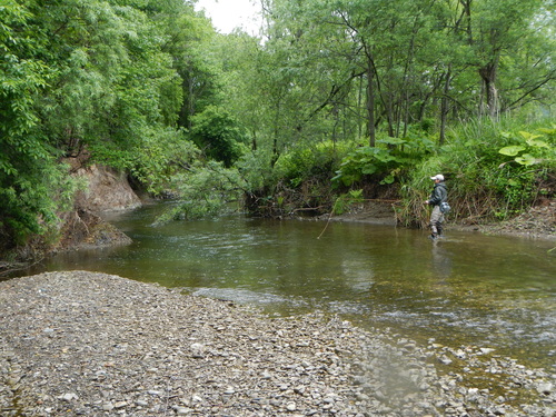 c0101953_2362537.jpg