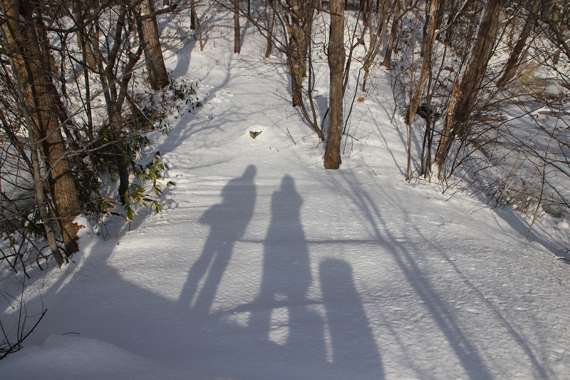 12月9日　冬の小沼散策　２_b0250154_6311100.jpg