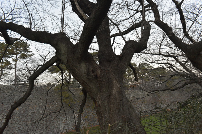 f0114954_16796.jpg