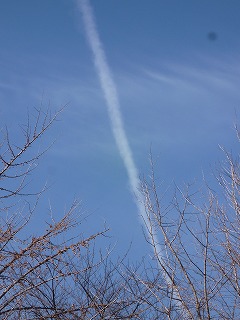 winter sky 通勤とひこうき雲と♪_a0165160_6505180.jpg