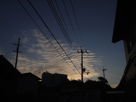 c0108460_17215633.jpg