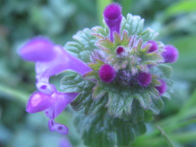 b0267163_2203345.jpg