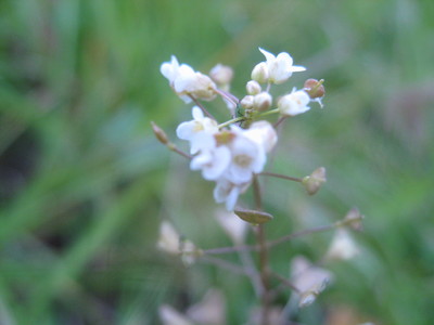 b0267163_22144035.jpg