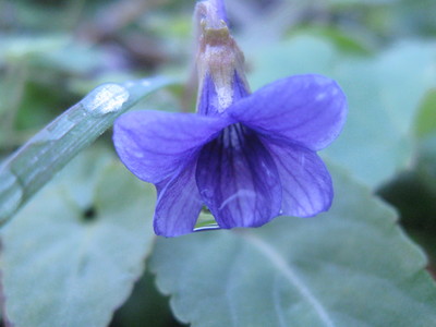 b0267163_223315.jpg