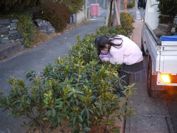 e0138066_03214.jpg