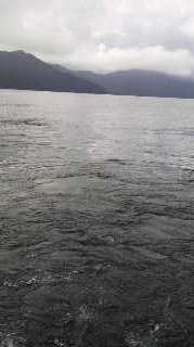 d0107579_3243592.jpg