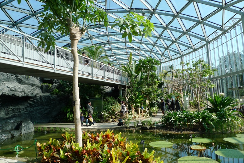 a0127090_23512651.jpg
