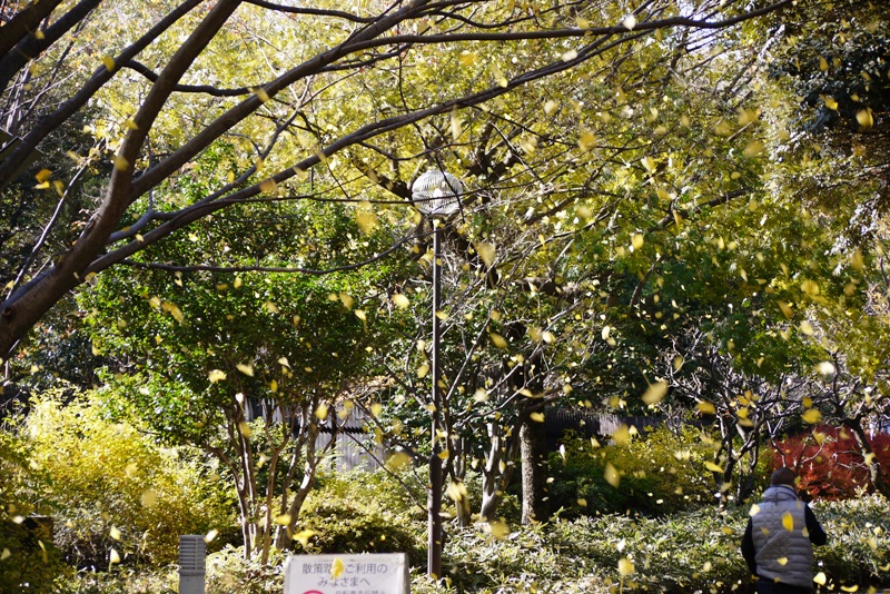 a0127090_23531291.jpg