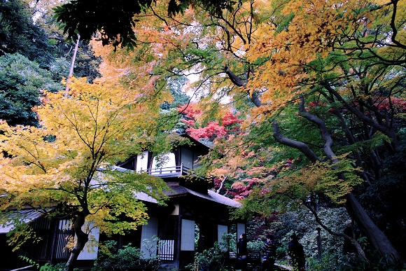 e0249590_10233874.jpg