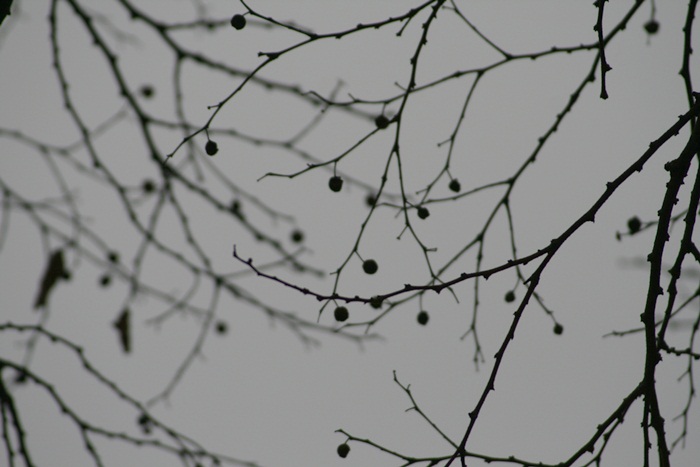 d0256891_17302930.jpg