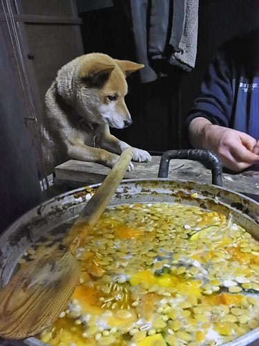 牛鍋の秘密_f0236291_13381318.jpg