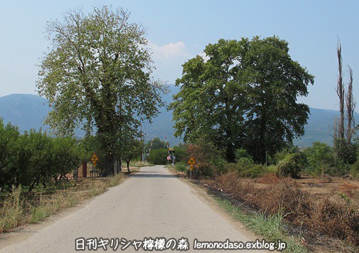 c0010496_18324238.jpg