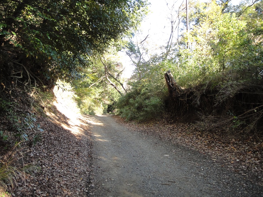 b0092300_23145099.jpg