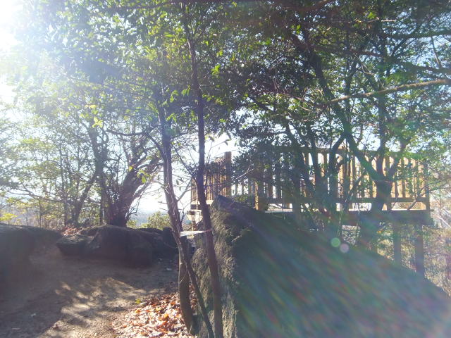 a0271502_19552714.jpg