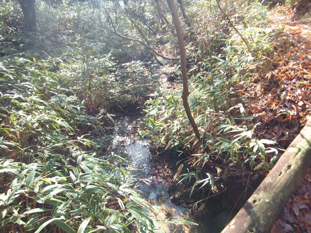 a0271502_2012173.jpg