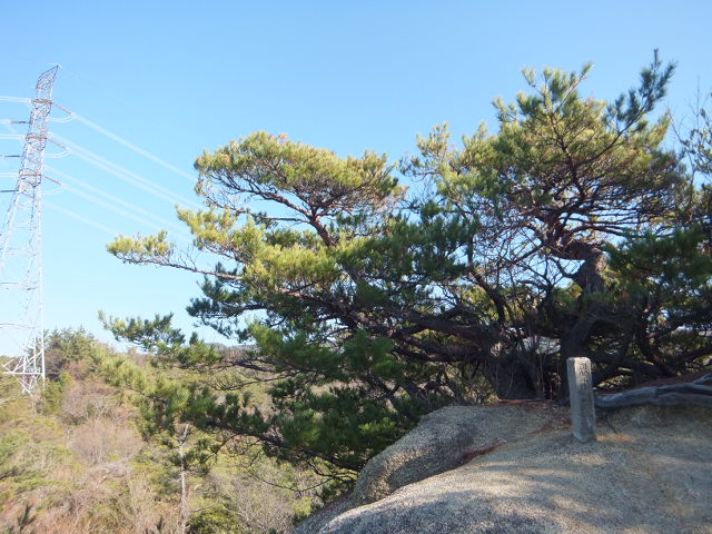 a0271502_20245097.jpg