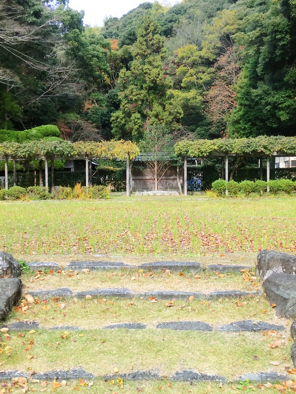伊勢神宮 新穀感謝祭 ③_c0125702_023921.jpg