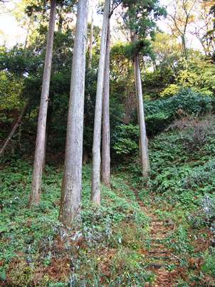 ｢大蔵稲荷社｣から山ルート、祇園山ハイキングコースへ(2012.12.16)_e0245404_2023889.jpg