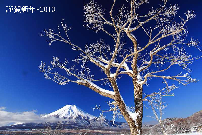 a0188405_036315.jpg