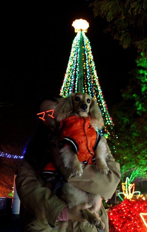 f0224506_23311133.jpg