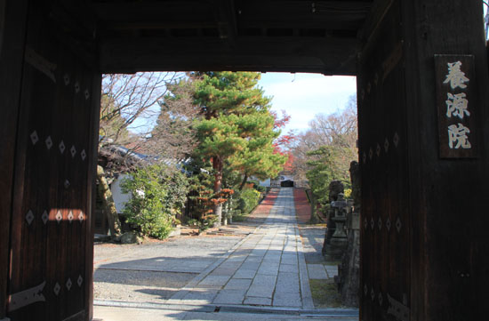 養源院 落ち葉の参道_e0048413_2384816.jpg