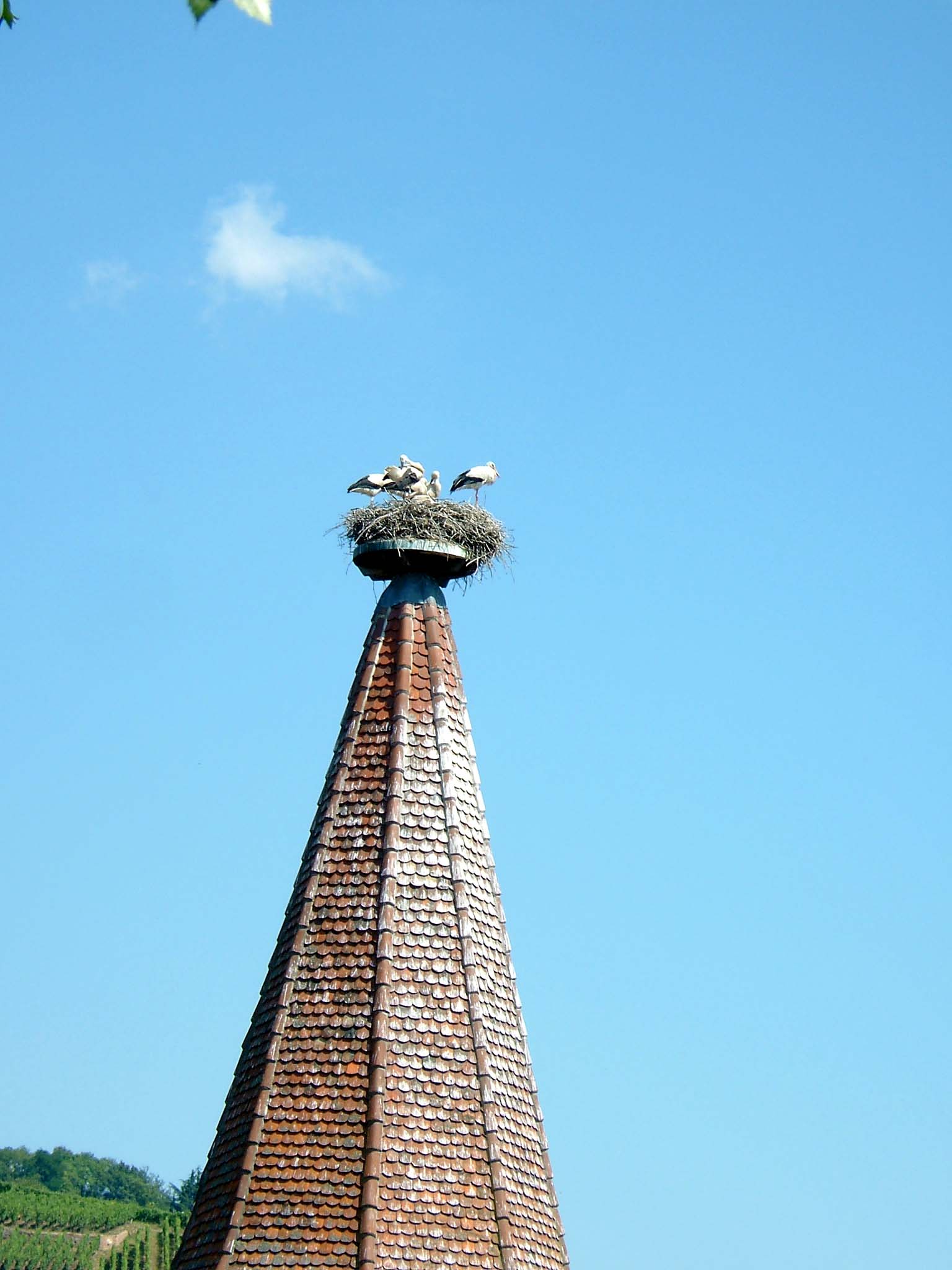 e0059520_20245520.jpg