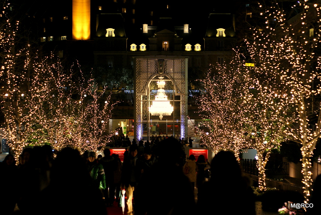 a0240721_1105128.jpg