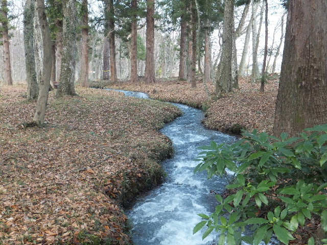 c0141223_1304293.jpg