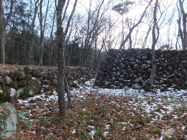 c0141223_1363142.jpg