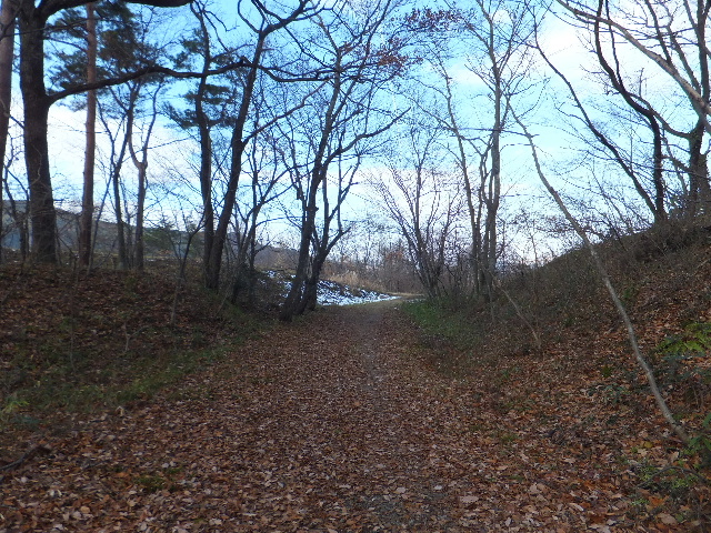 c0141223_137598.jpg