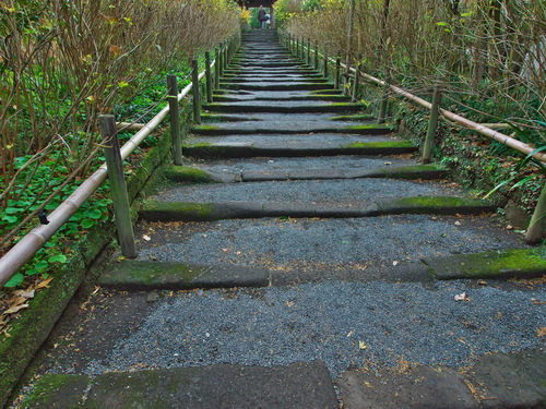 紅葉の北鎌倉（明月院）_b0093625_1720494.jpg