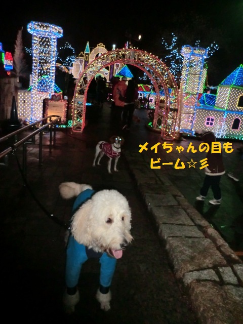 c0254426_231553.jpg