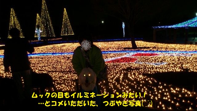 c0254426_234847.jpg