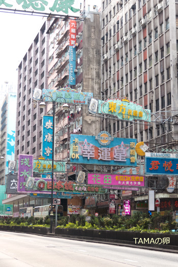 c0024729_16121859.jpg